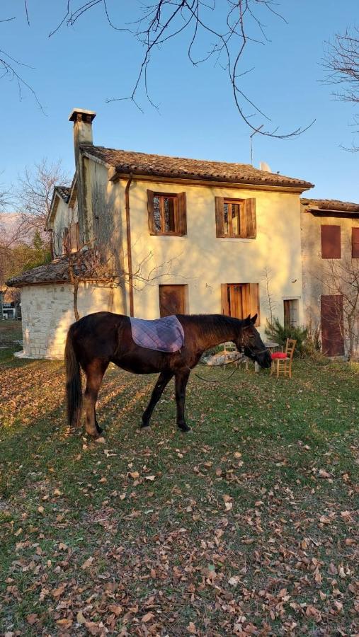 La Caneveta Al Piave 瓦尔多比亚德内 外观 照片