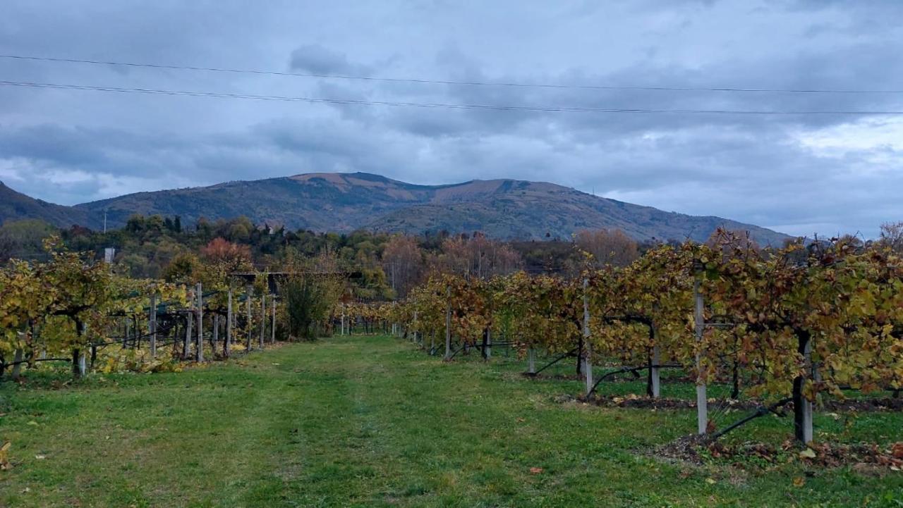 La Caneveta Al Piave 瓦尔多比亚德内 外观 照片
