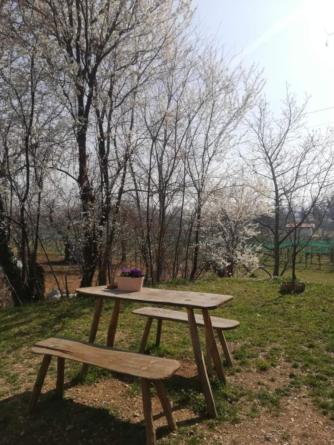 La Caneveta Al Piave 瓦尔多比亚德内 外观 照片